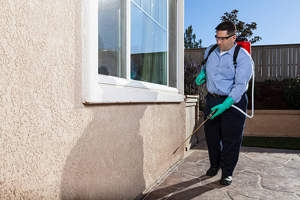 Best Pest Exclusion Services  in Belgium, WI